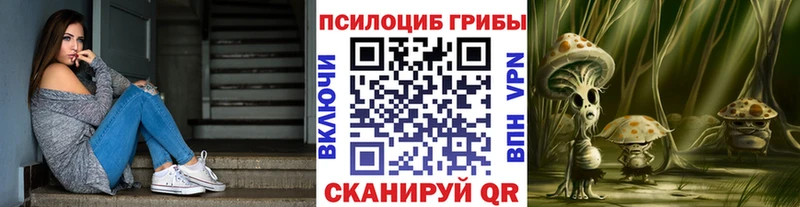 Купить закладки Куровское Галлюциногенные грибы Psilocybine cubensis